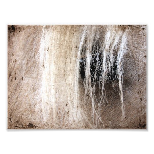 パロミグランジノ フォトプリント            (正面)