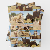 パロミノの馬のコラージュ、ギフトラップシート、 ラッピングペーパーシート (インサイチュ)