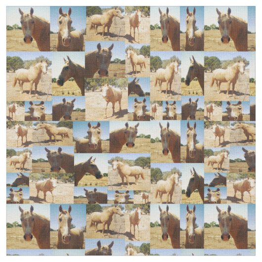 パロミノの馬の写真コラージュ ファブリック (クローズアップ)
