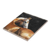 パロミノアクハルテキスタリオン タイル (側面)