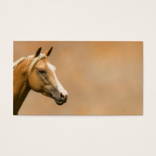 パロミノエレガンス (正面)