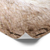 パロミノグランジウマ ポスター (角)