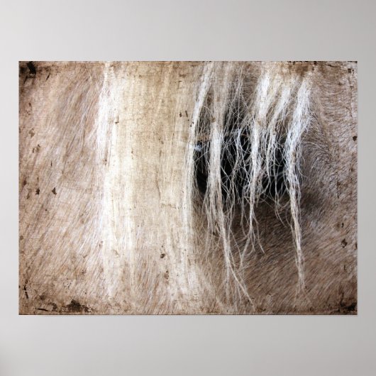 パロミノグランジウマ ポスター (正面)