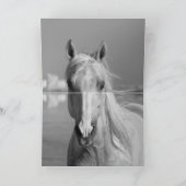 パロミノスタリオンリープスホースグリーティングカード カード (内部)