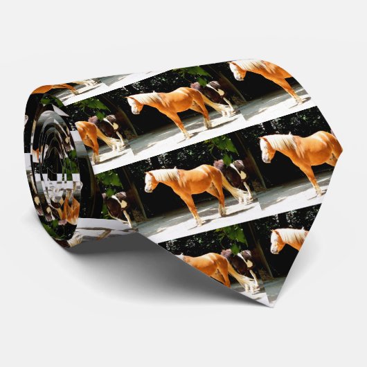 パロミノス ネクタイ (ロール)