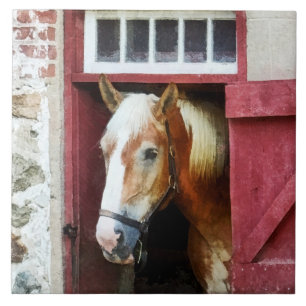 パロミノバイバーンドア タイル