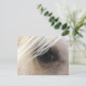 パロミノホースアイ ポストカード (スタンド正面)