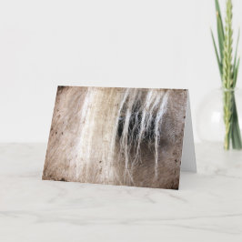 パロミノホースグランジ誕生日 カード