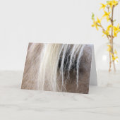 パロミノホース カード (黄色い花)