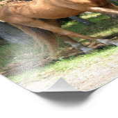 パロミノホース フォトプリント            (角)