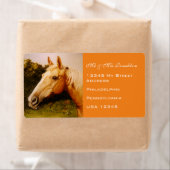 パロミノホース ラベル (インサイチュ)