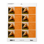 パロミノホース ラベル (フルシート)