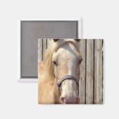 パロミノポニースクエアマグネット マグネット (正面/裏面)