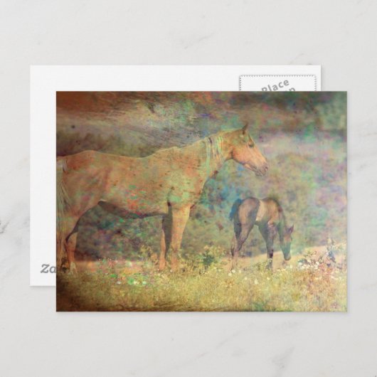 パロミノマーレアンドフォール ポストカード (正面/裏面)