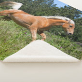 パロミノランニングウマの森を抜けて シェルパブランケット (3/4)