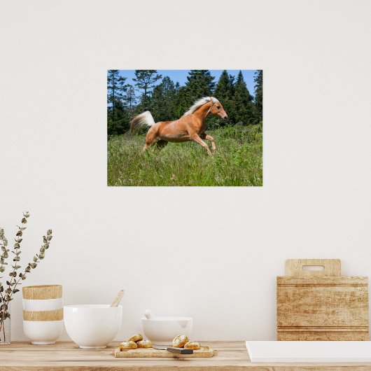 パロミノランニングウマの森を抜けて ポスター (キッチン)