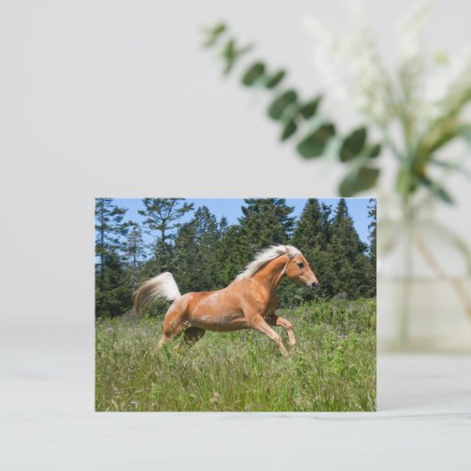 パロミノランニングウマの森を抜けて ポストカード (スタンド正面)