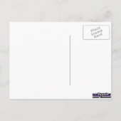 パロミノ写真 ポストカード (裏面)