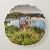 パロミノ絵を描ピントスタリオンバイアレイク ラウンドクッション (正面)