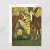 パロミノ荷車を引くウマはがき ポストカード (正面/裏面)