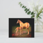 パロミノ馬と子馬のポストカード ポストカード (スタンド正面)