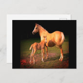 パロミノ馬と子馬のポストカード ポストカード (正面/裏面)