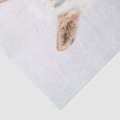 パロミノ馬のファンタジーの切り離 薄葉紙 (詳細)