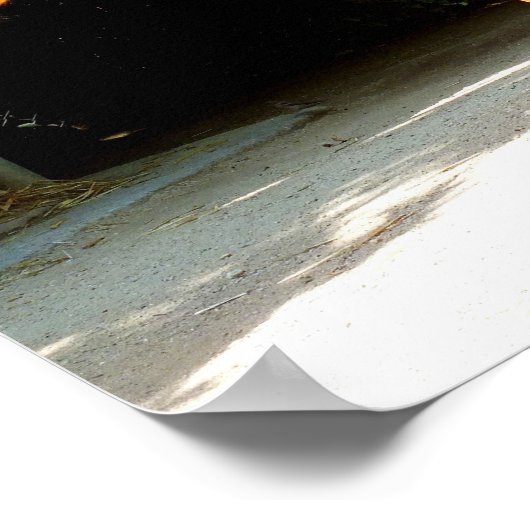 パロミノ馬 ポスター (角)