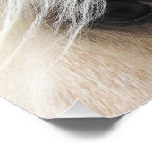 パロミノ フォトプリント            (角)