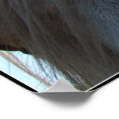 パロミノ ポスター (角)