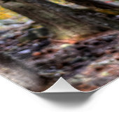 パロミ絵を描ノ・スタリオン&フォレウマ科のスト ポスター (コーナー)