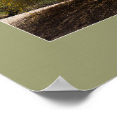 パロヴェルデツリープリント ポスター (角)