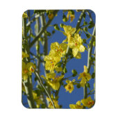 パロヴェルデ開花 マグネット (縦)