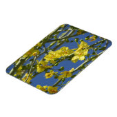 パロヴェルデ開花 マグネット (左側)