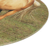 パロ威厳のあるミノの馬 – ファインアート写真 カッティングボード (角)