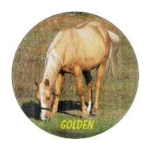 パロ威厳のあるミノの馬 – ファインアート写真