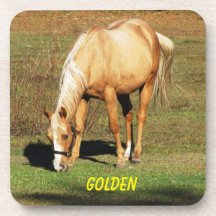 パロ威厳のあるミノの馬 – ファインアート写真