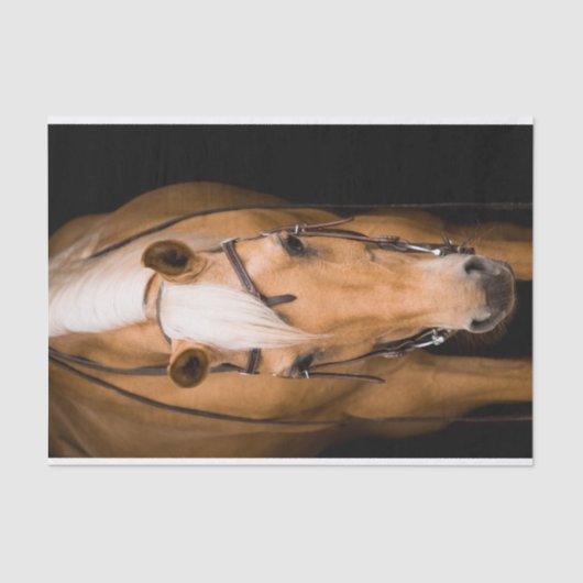 パロ素晴らしミノ 薄葉紙 (正面)