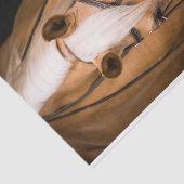 パロ素晴らしミノ 薄葉紙 (詳細)