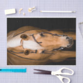 パロ素晴らしミノ 薄葉紙 (クラフト)