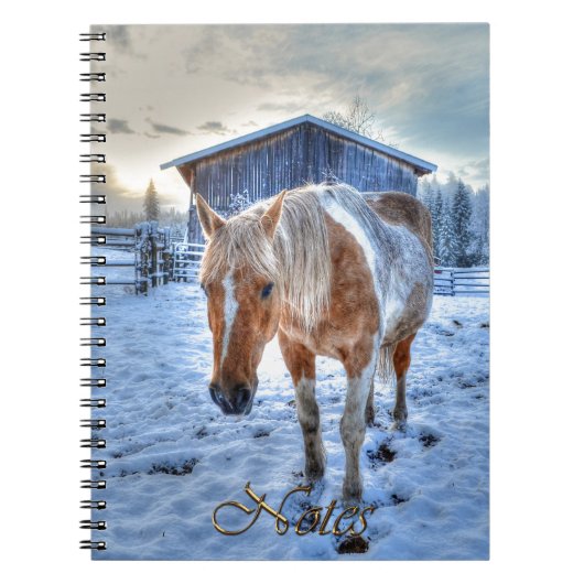 パロ絵を描ミノ騎士馬のデザイン ノートブック (正面)