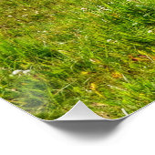 パロ絵を描ミノ・ホース&フィールド写真 ポスター (コーナー)