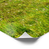 パロ絵を描ミノ・ホース&フィールド写真 ポスター (コーナー)