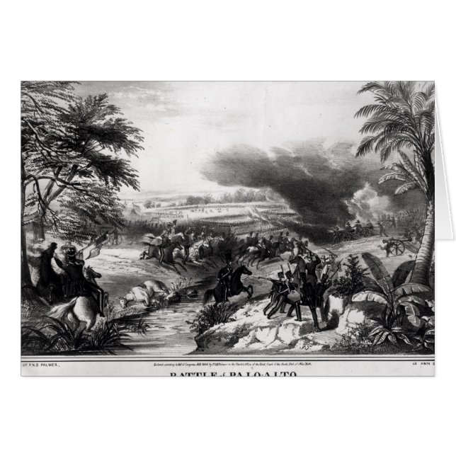 パロ・アルトの戦い (正面横)