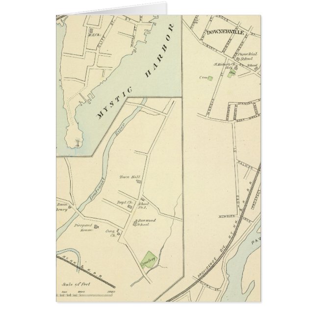 パワカック、ノアンク、ライム (正面)