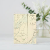 パワカック、ノアンク、ライム ポストカード (スタンド正面)