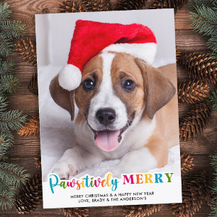 パワカラフルイメリーカスタムーPet Dog Photo シーズンカード
