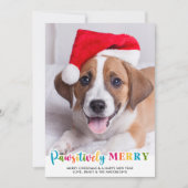 パワカラフルイメリーカスタムーPet Dog Photo シーズンカード (正面)