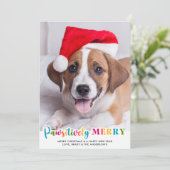 パワカラフルイメリーカスタムーPet Dog Photo シーズンカード (スタンド正面)