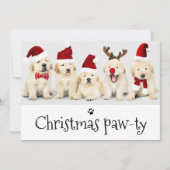 パワソドッグポーティクリスマス5フォトカード 招待状 (正面)